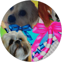 Heidi Pirazzi profile picture